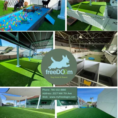 Freedogm dog hotel and daycare 2025